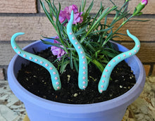 Load image into Gallery viewer, Clay Houseplant Tentacle Sets
